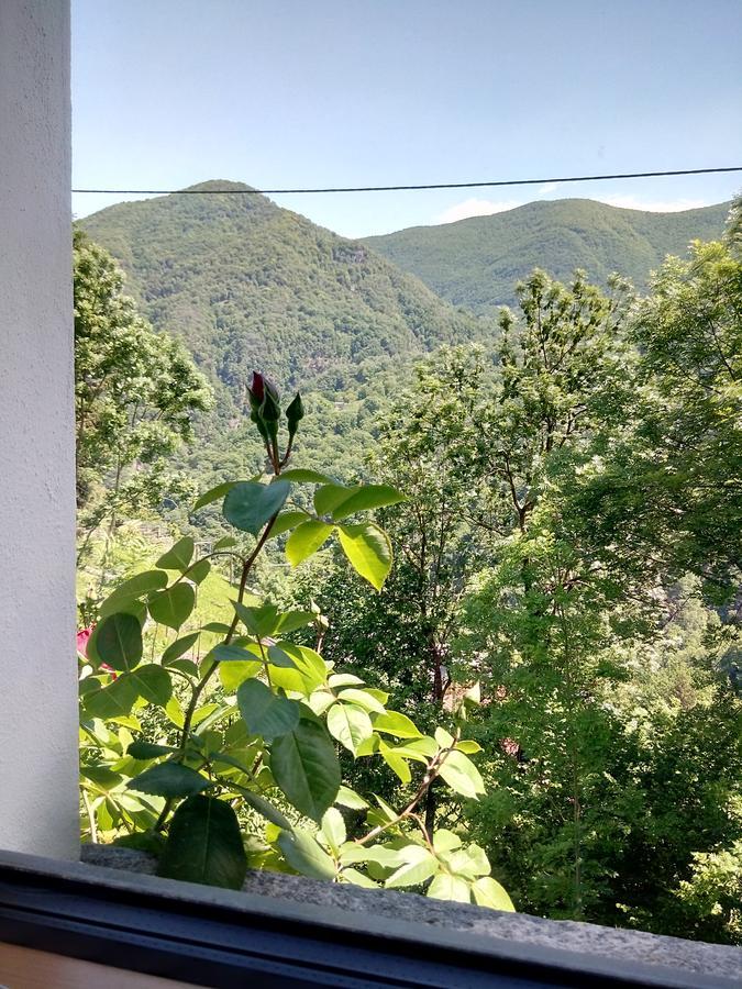 인트라냐 Rustico "Casa Di Sasso" 빌라 외부 사진